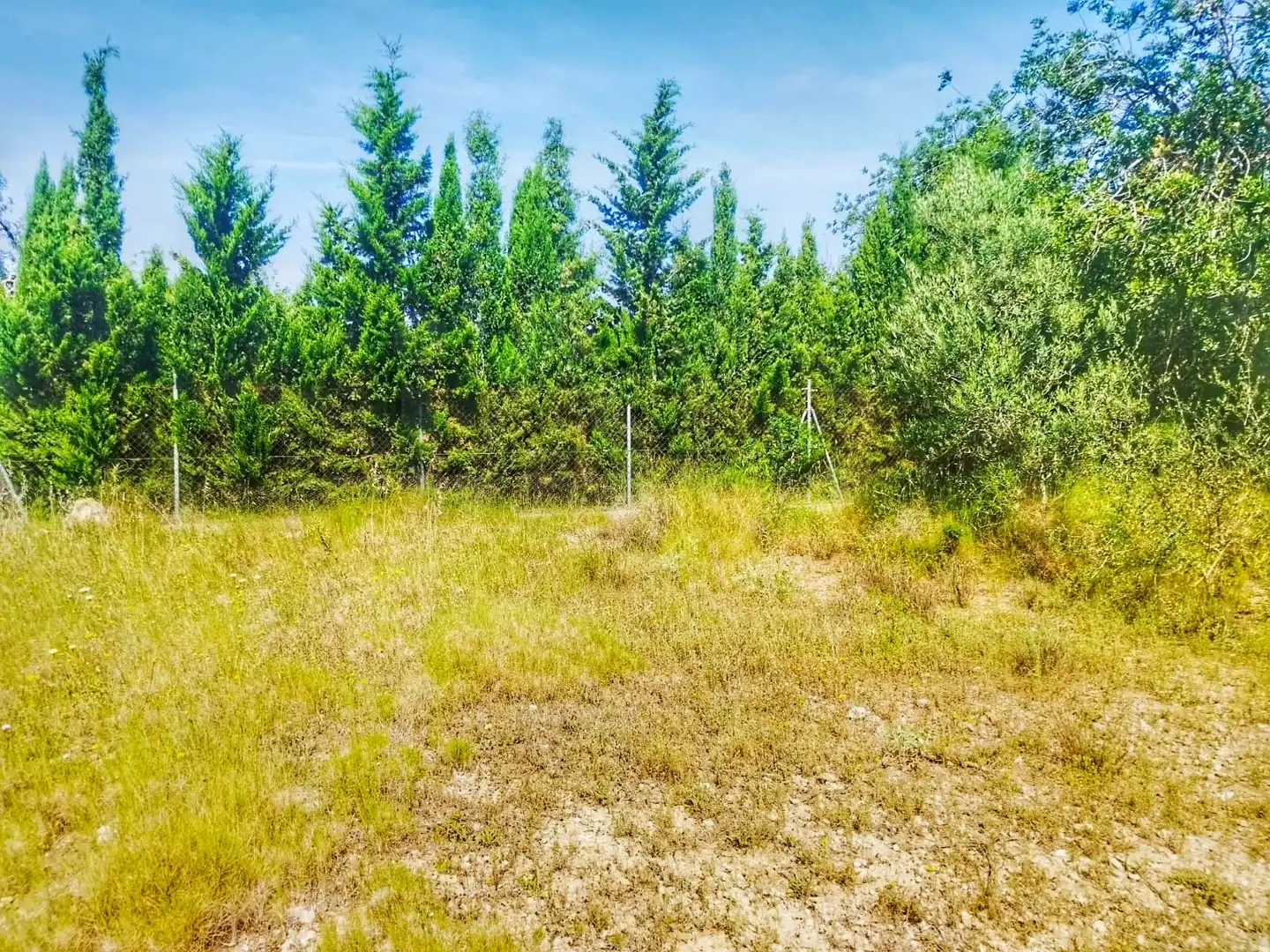 Terrain rustique à vendre à Roquetes, imagen 12