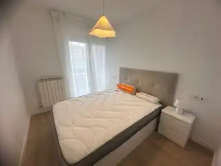 Dormitori de Apartament de lloguer en León Capital  amb Calefacció, Parquet i Terrassa