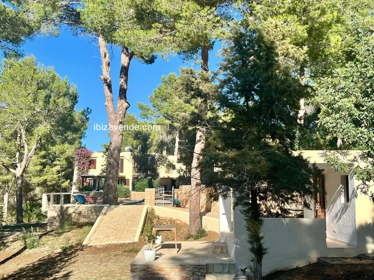 Villa con piscina in vendita a Avinguda Isidor Macabich, imagen 3
