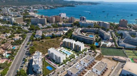 Photo 4 of Flat for sale in Avinguda de L'olivera, 74, Palmanova, Calvià