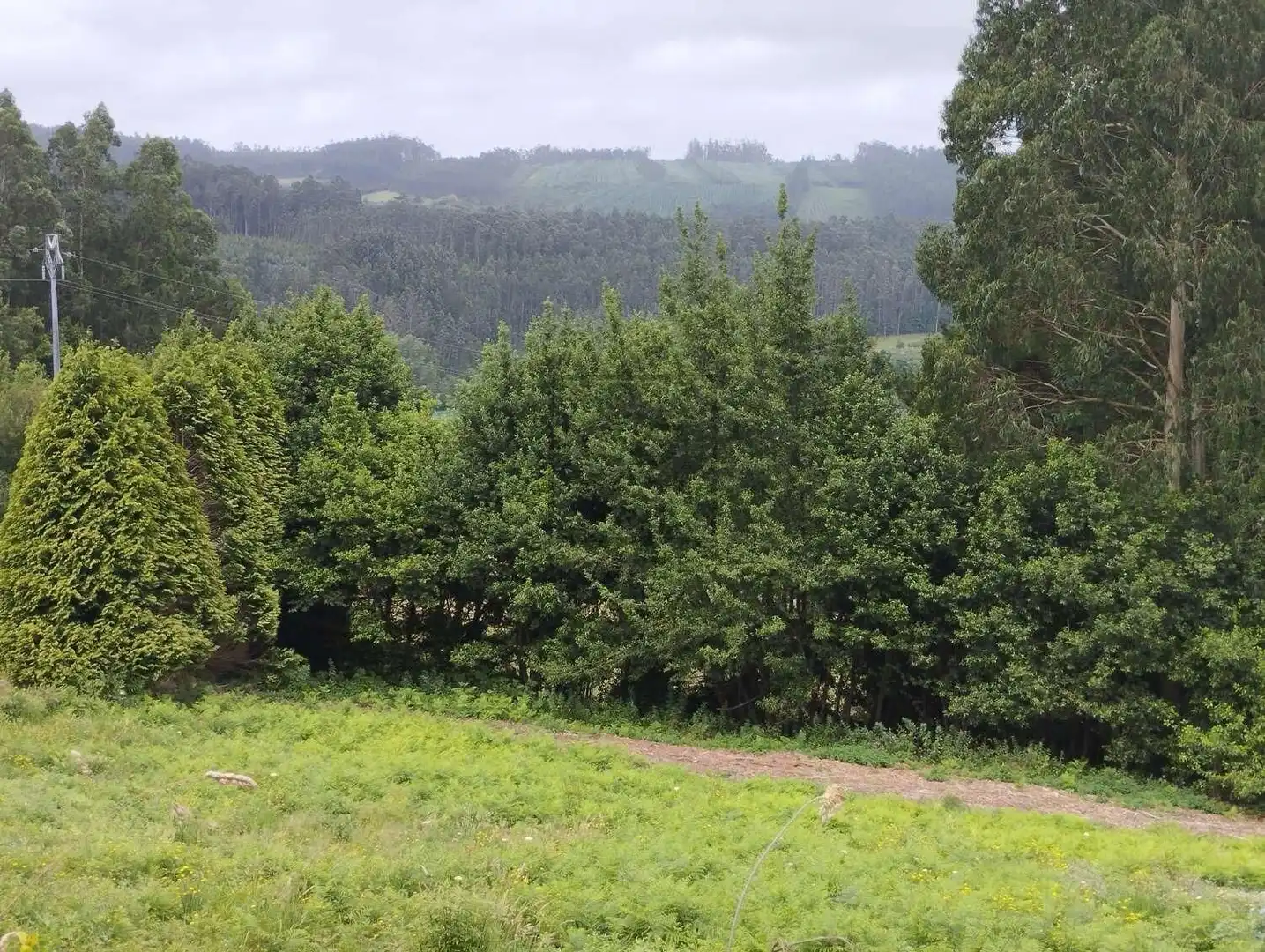 Casa o xalet en venda en Cerdido amb Jardí privat