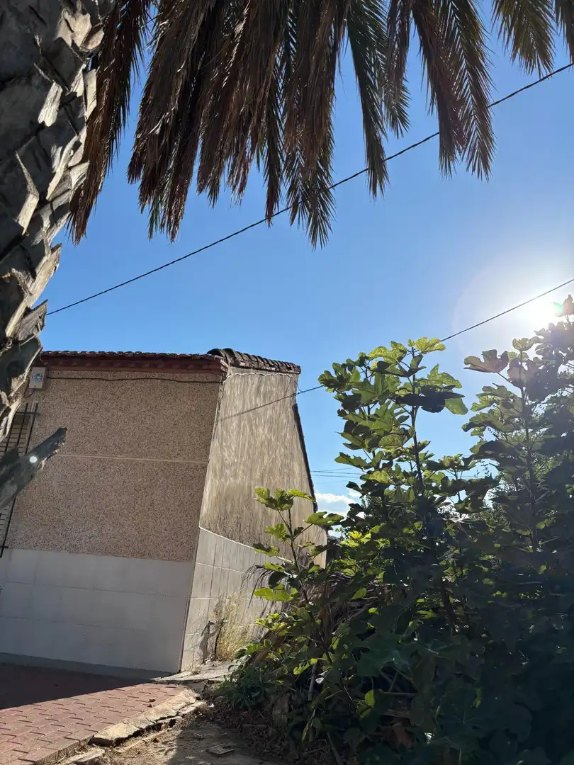 Exterior view of Houses for sale in Murcia