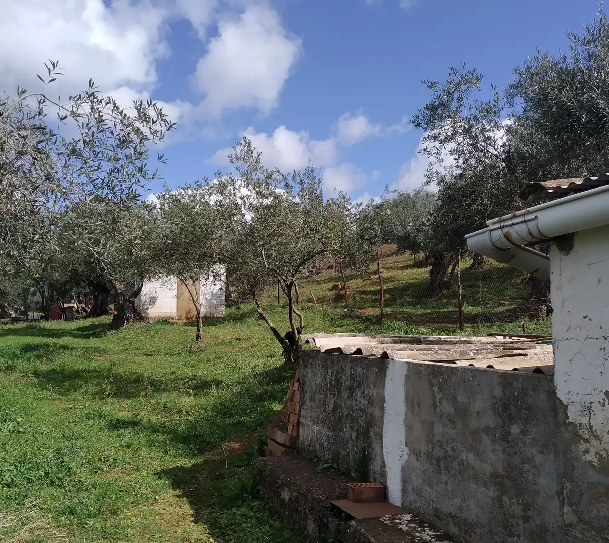 Terreni e lotti in vendita a Jerez de los Caballeros, imagen 26