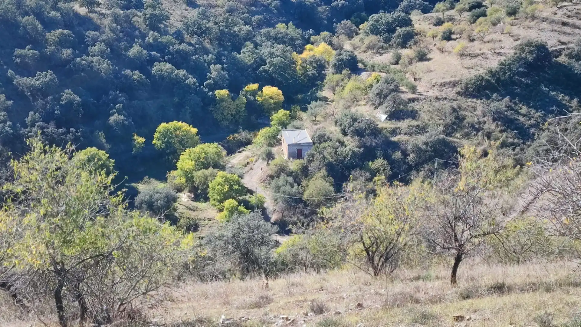 Land for sale in Alcudia de Monteagud