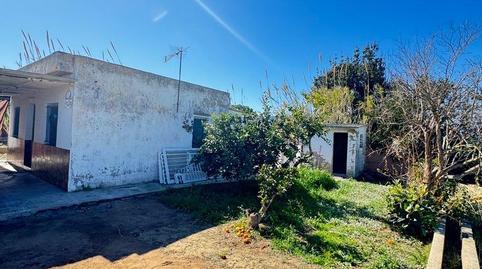 Foto 4 de Finca rústica en venda a El Marenyet, Cullera