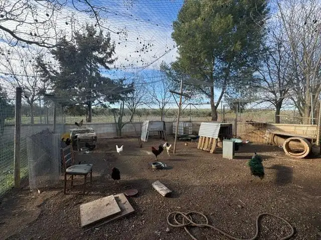 Garden of Country homes for sale in Antequera  with Heating, Private garden and Terrace