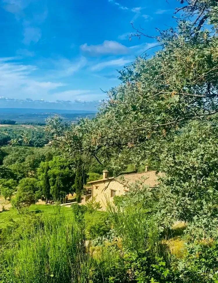House or chalet for sale in Jarandilla de la Vera