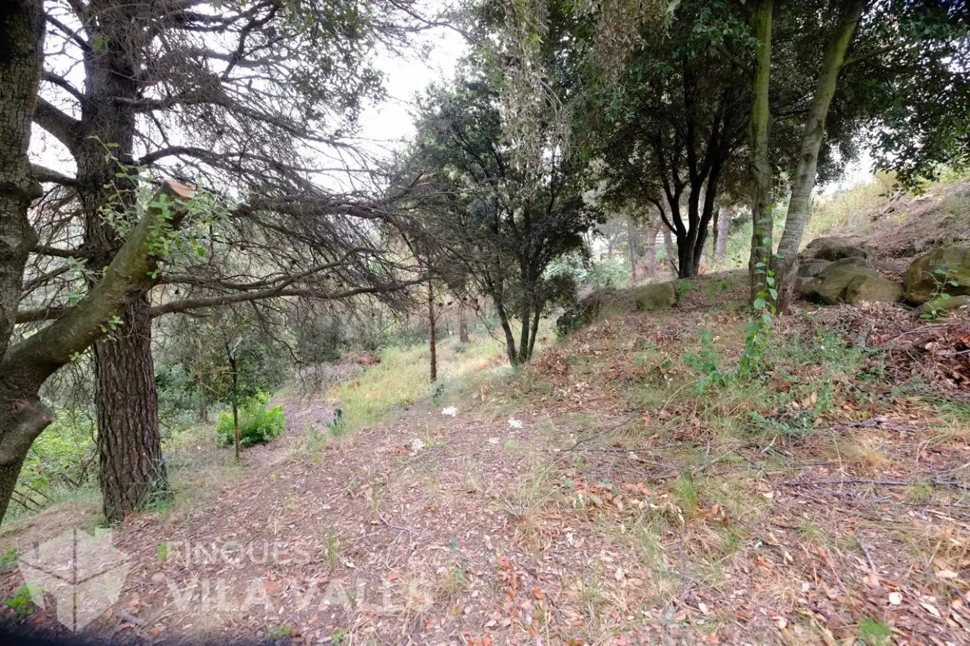 Terrenys i solars en venda a vinyetes, imagen 8