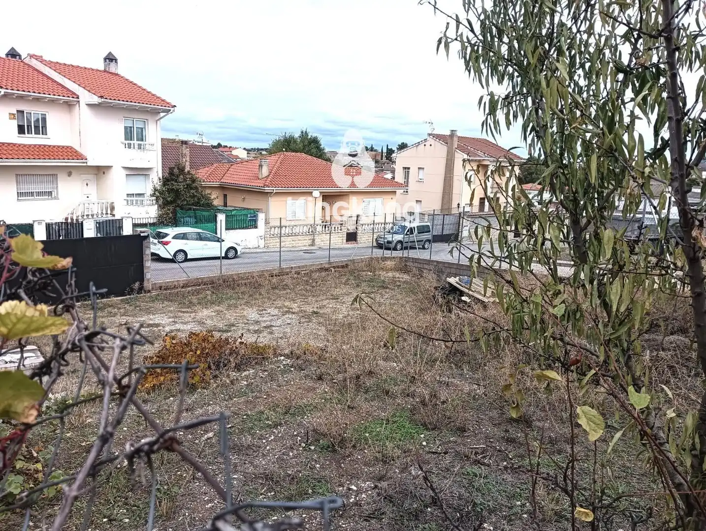 Rural land for sale in Belmonte de Tajo, imagen 7