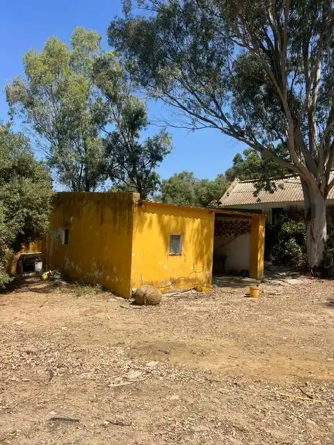 Vista exterior de Finca rústica en venda en Vejer de la Frontera amb Jardí privat