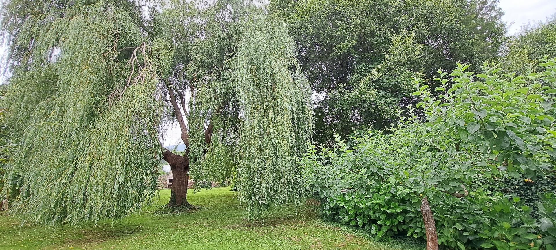 Jardí de Finca rústica en venda en Viveiro amb Calefacció
