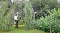 Jardí de Finca rústica en venda en Viveiro amb Calefacció