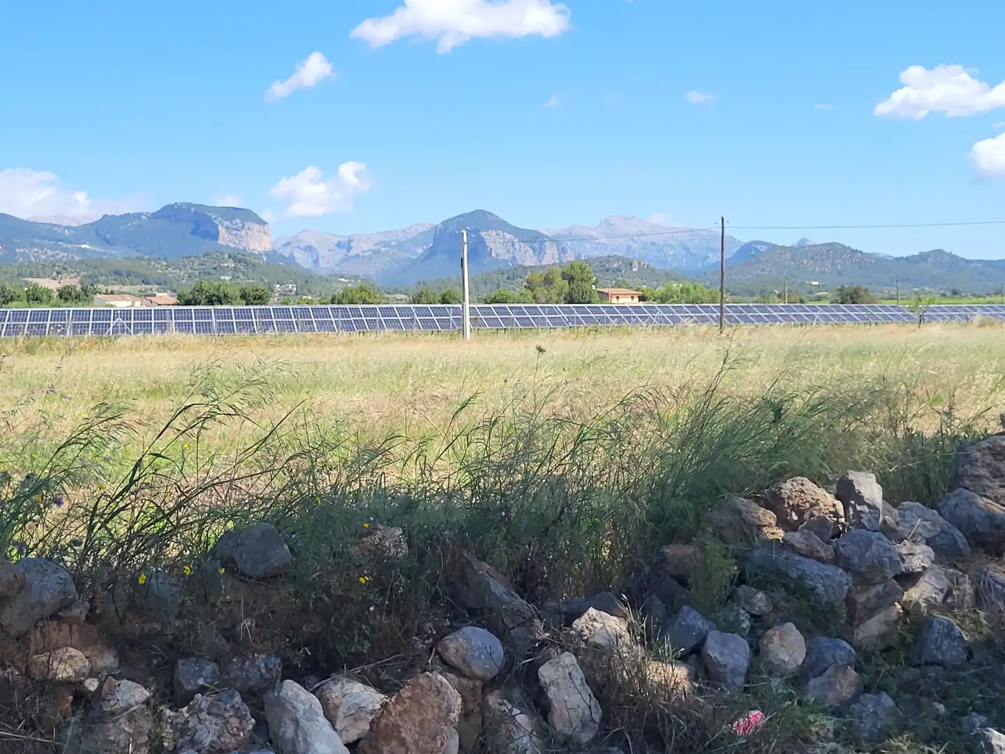 Terrain rustique à vendre à Polígono 2 Parcela 1, imagen 32