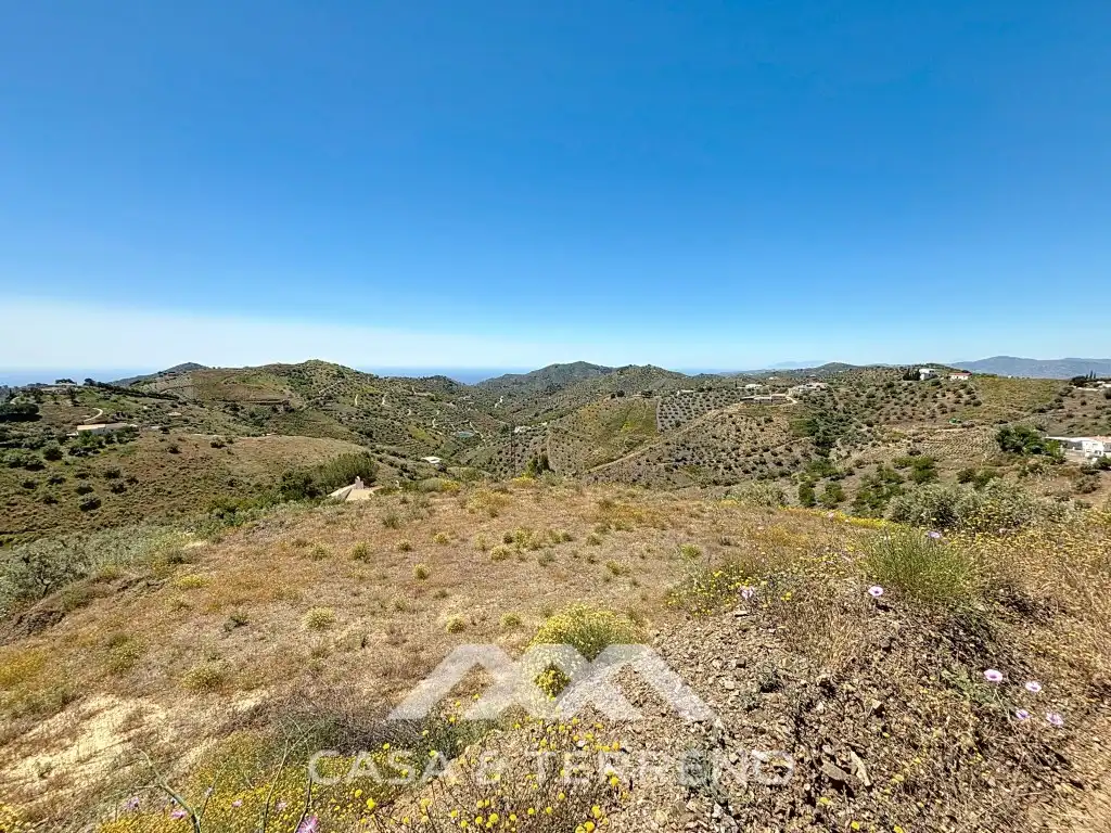 Exterior view of Land for sale in Canillas de Albaida
