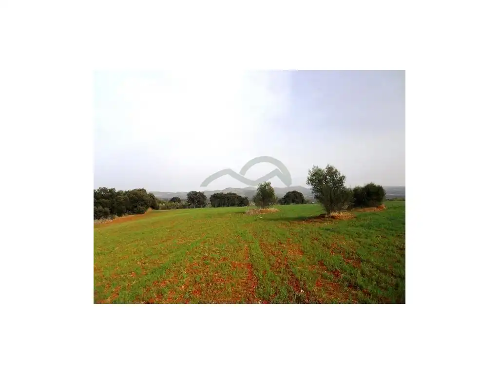 Terreny residencial en venda a Arriate, imagen 5