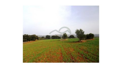Terreno para Casa de CampoHotel Rural, imatge 5