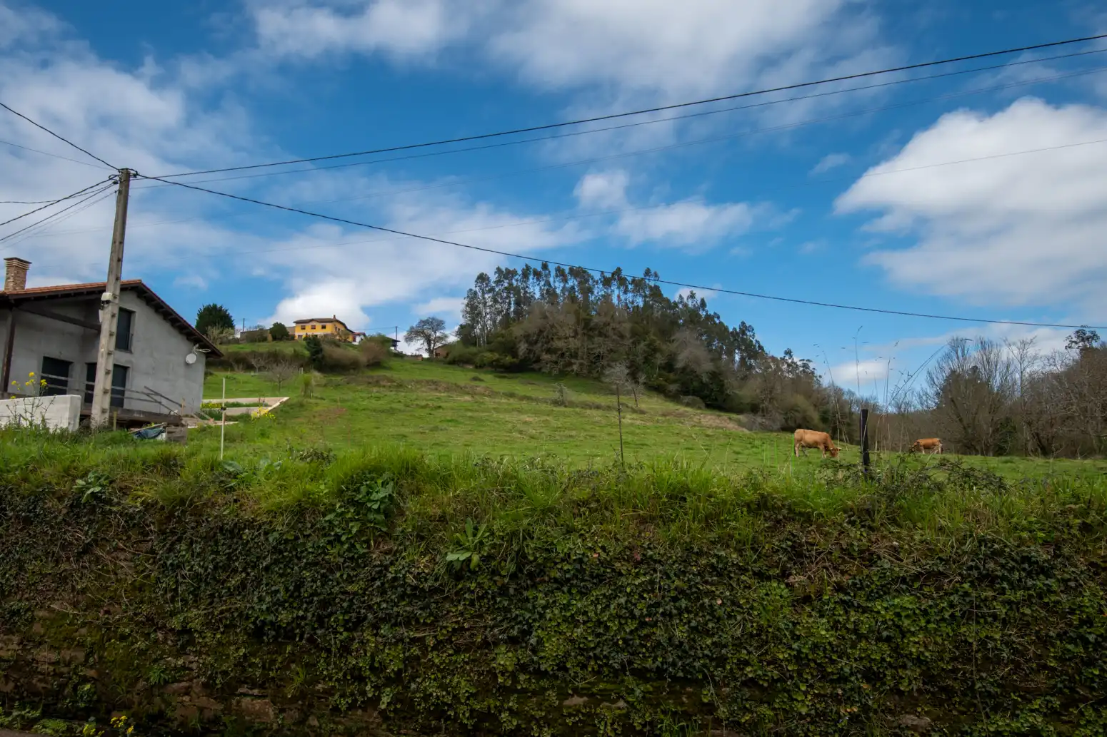 Terreno rustico in vendita a Maoxu, imagen 14