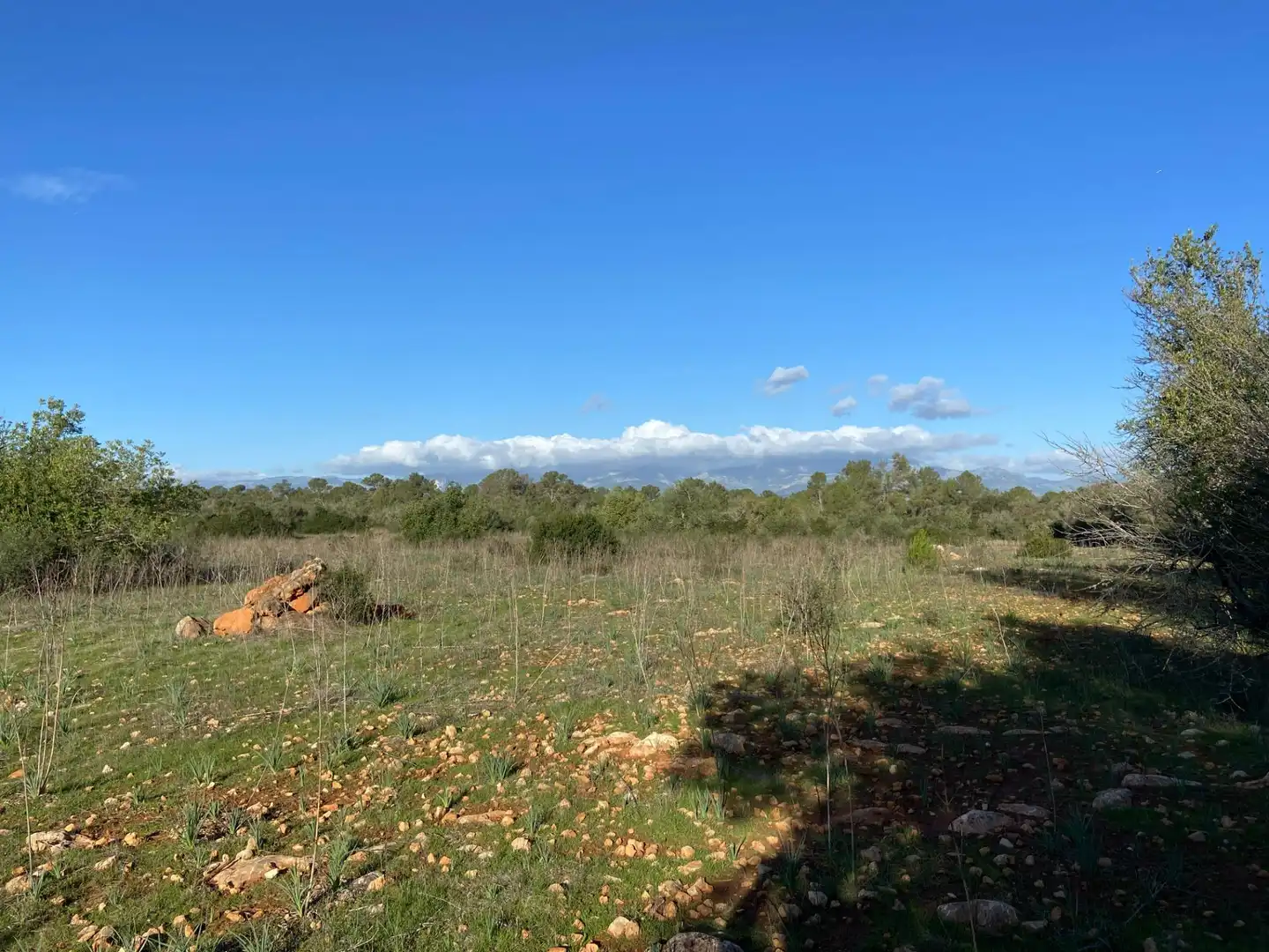Maison rustique à vendre à Sineu, imagen 18
