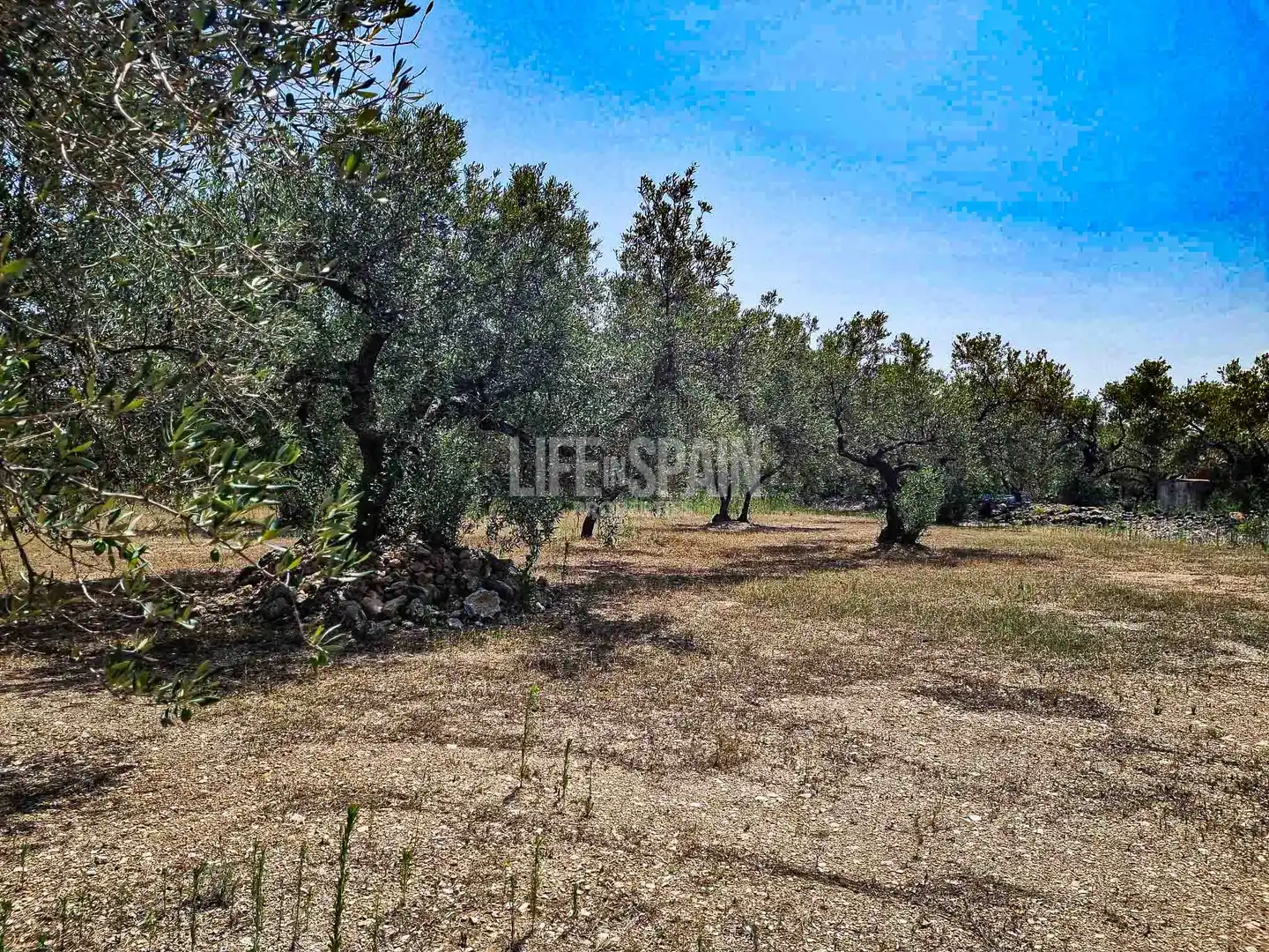 Maison rustique à vendre à Roquetes, imagen 5