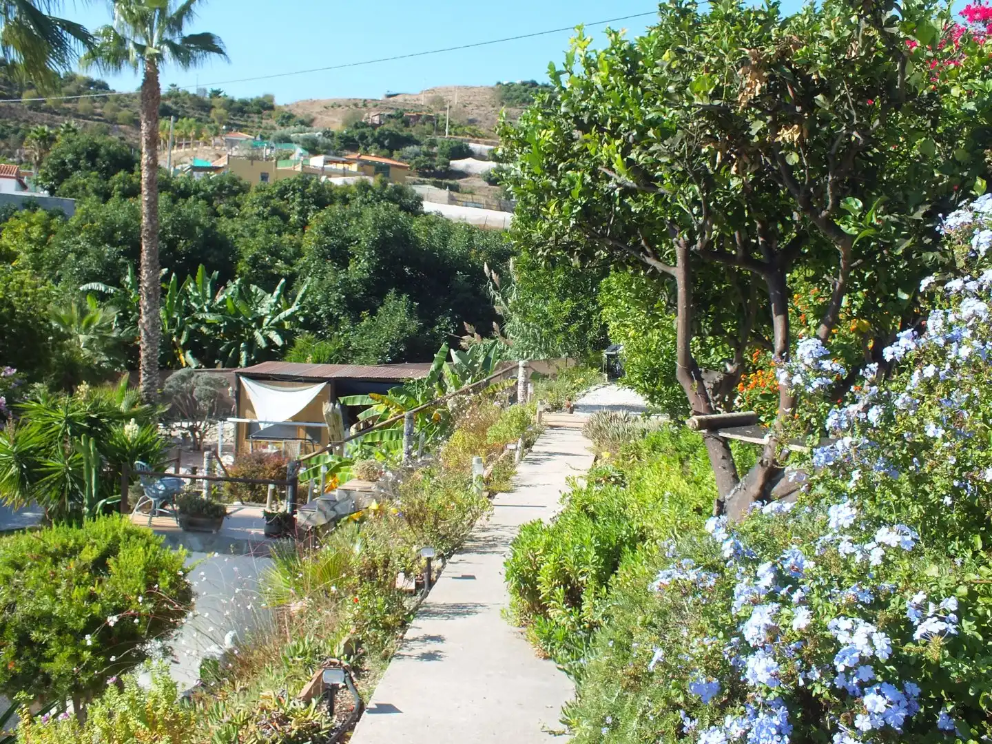 Jardín de Casa o chalet en venta en Salobreña con Jardín privado