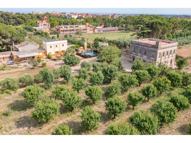 Finca rústica en Venta en Camino Pedrera del Cobic, 21 en Mestral
