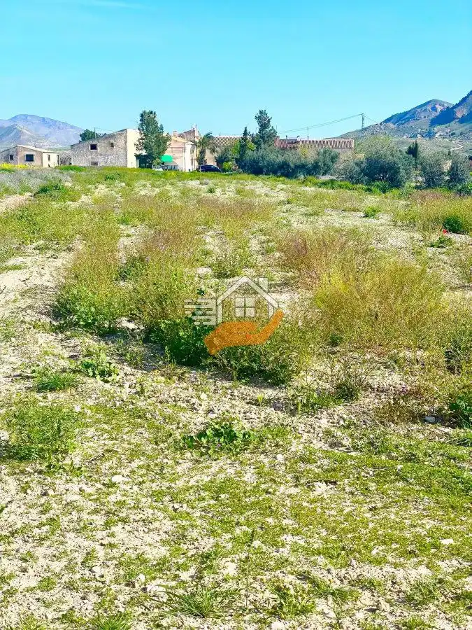 Lands and plots for sale in Pedanías Norte, imagen 32