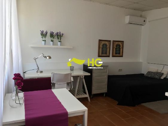 Estudi de lloguer a El Bosque