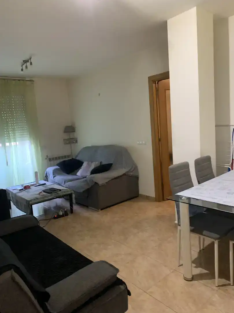 Sala d'estar de Loft en venda en Vilanova de la Barca amb Traster i Balcó