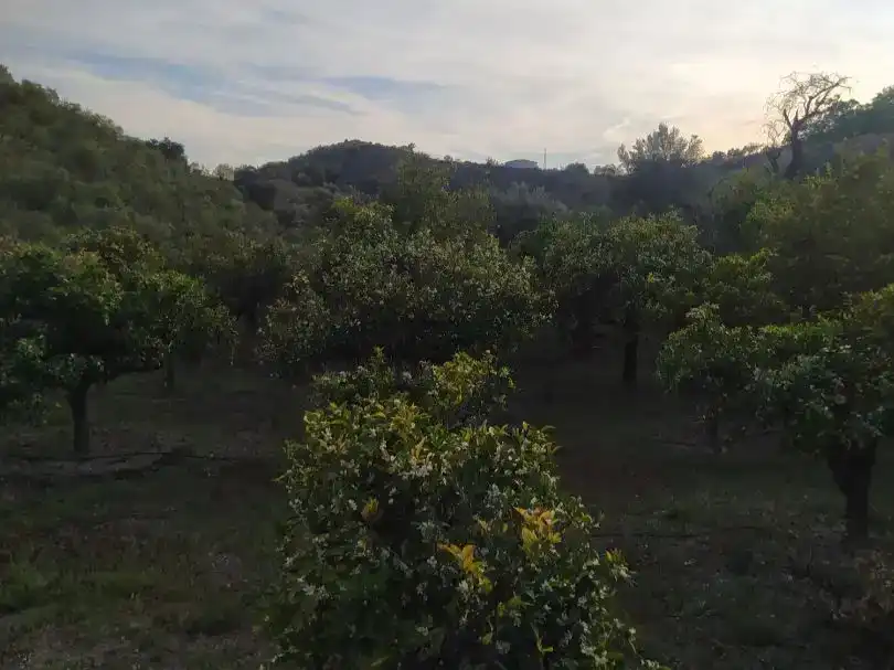 Finca rústica en venda en Sedella