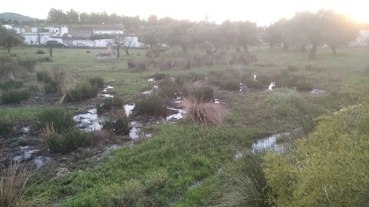 Finca rústica en venda en Mérida