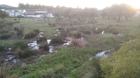 Foto 4 de Finca rústica en venda a Oeste, Mérida