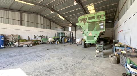 Photo 5 of Industrial buildings for sale in Torre Cruz - Los Molinos, Sevilla