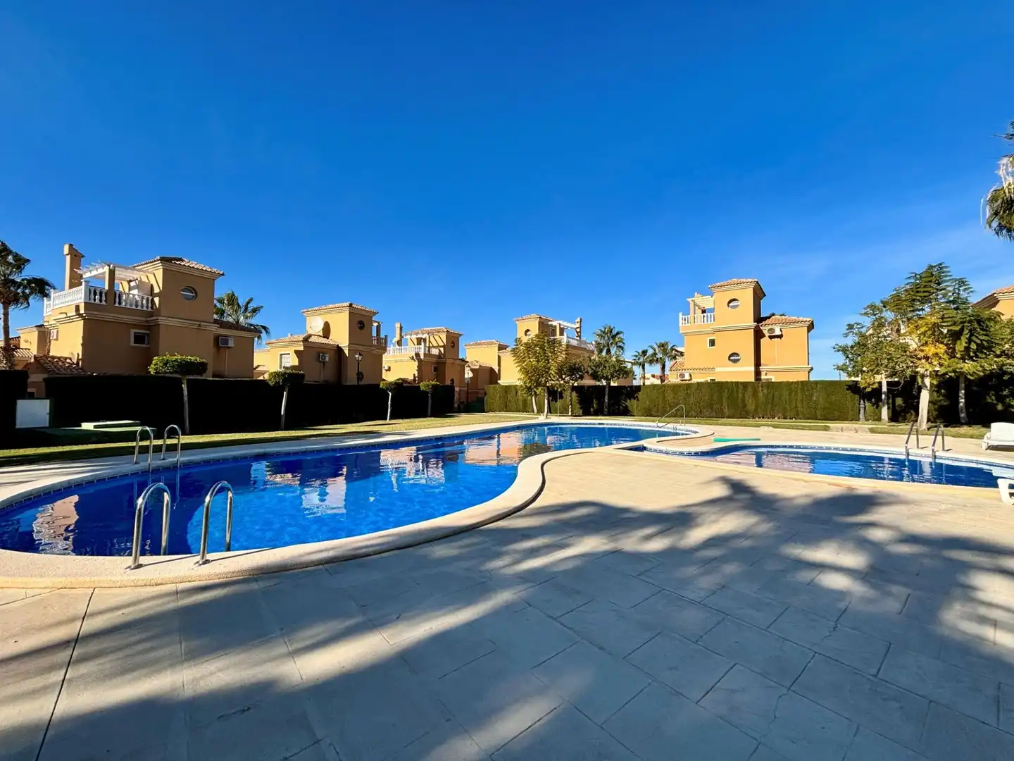Piscina de Casa o xalet en venda en Algorfa amb Jardí privat, Terrassa i Moblat