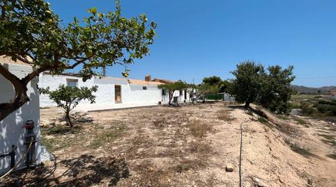 Foto 5 de Finca rústica de alquiler en Palomares, Cuevas del Almanzora