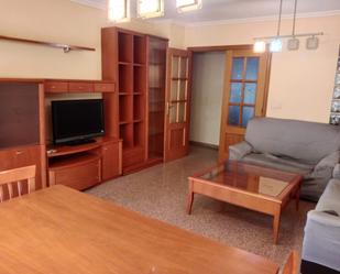 Living room of Flat to rent in San Vicente del Raspeig / Sant Vicent del Raspeig  with Storage room, Furnished and Oven