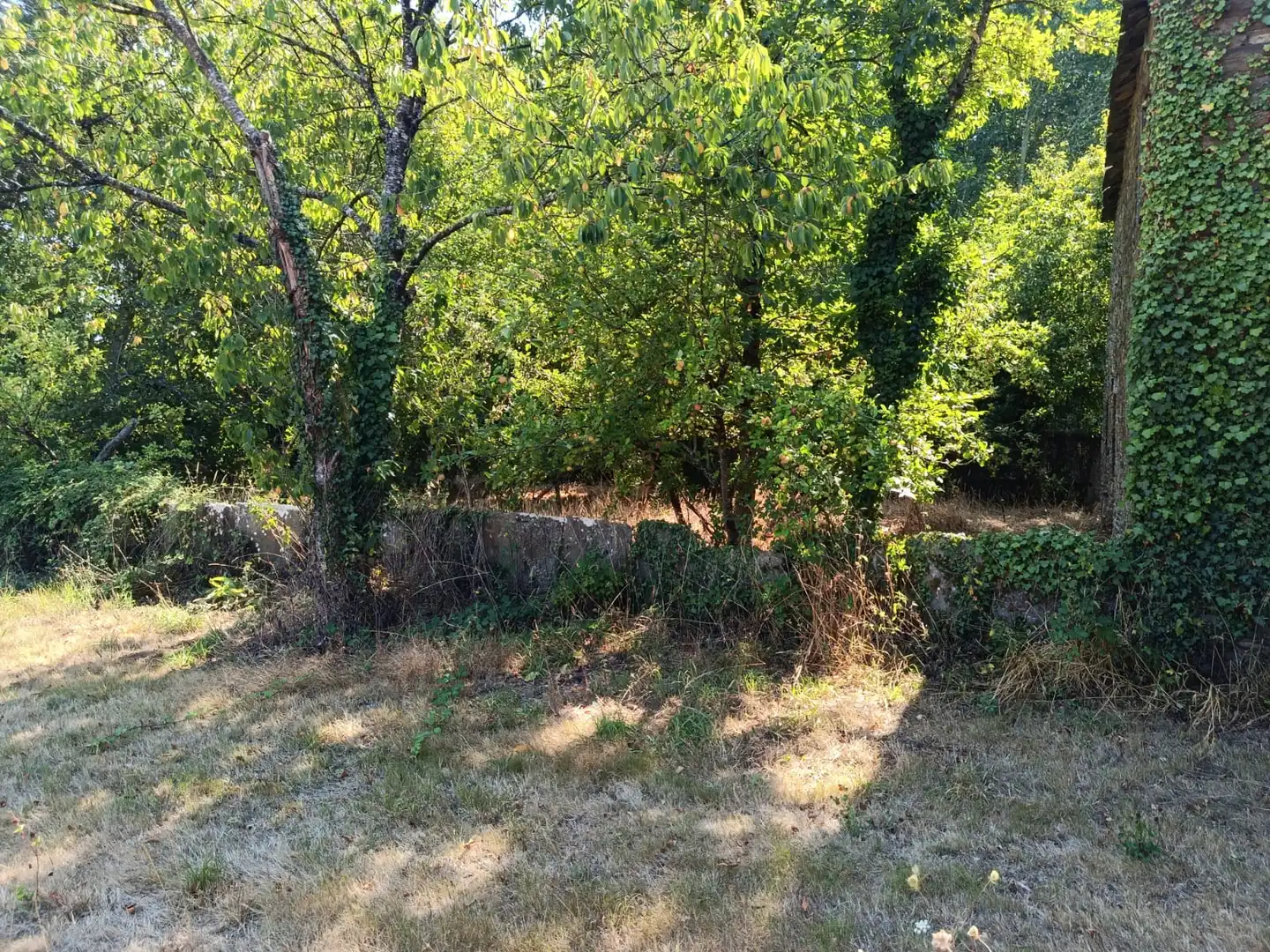 Maison à vendre à Lugar San Vicente de Pias, imagen 14
