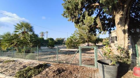 Foto 3 de Casa o xalet en venda a Algorós - El Derramador, Elche / Elx