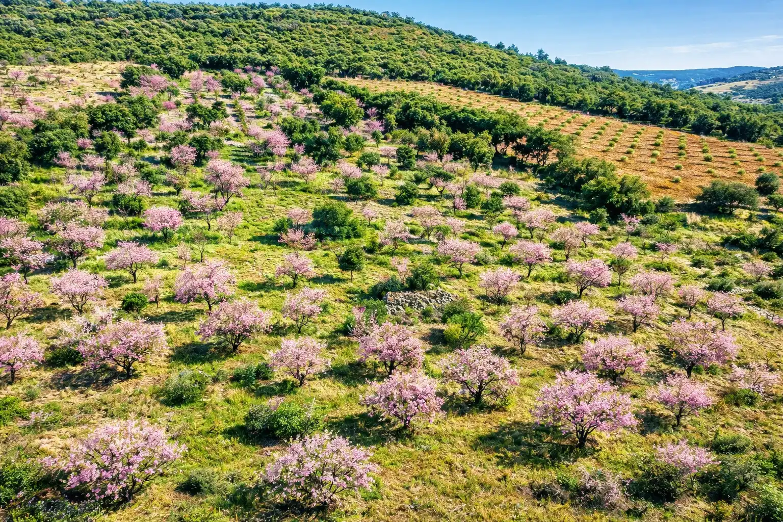 Terreno en venta en Los Navalucillos