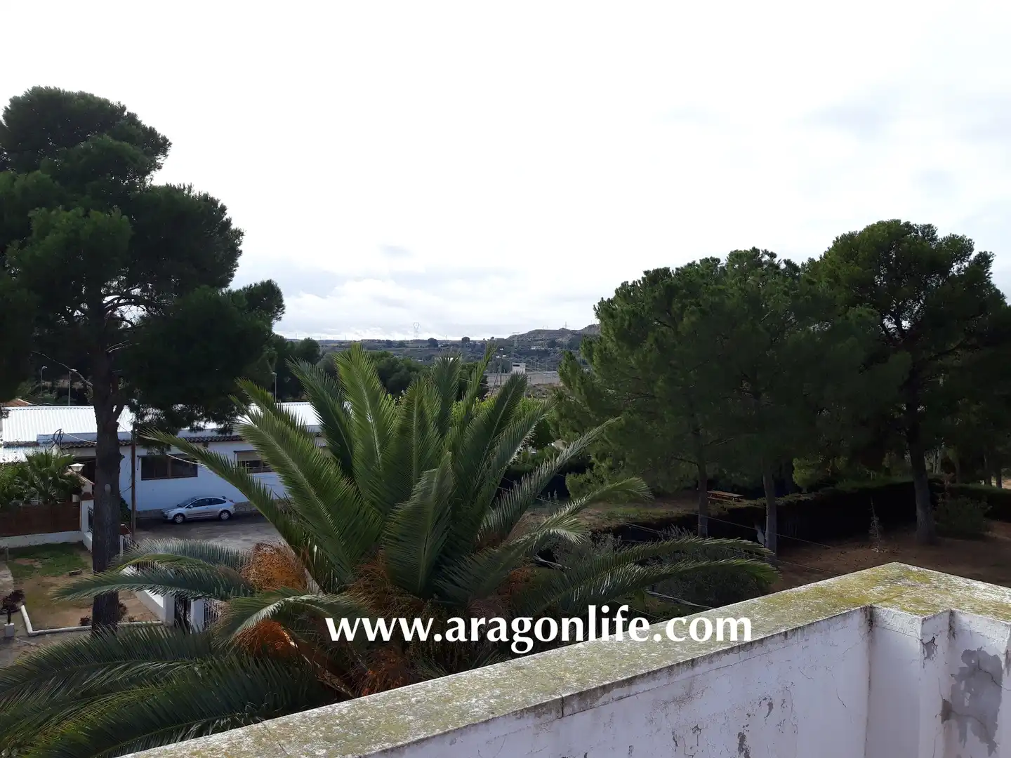 Jardí de Casa o xalet en venda en Caspe amb Aire condicionat, Calefacció i Jardí privat