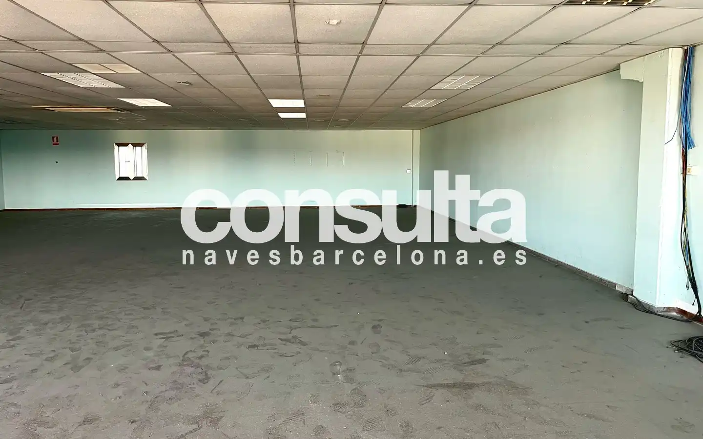 Nave industrial con ascensor en venta en Carrer Torrent Tortuguer 1, imagen 17