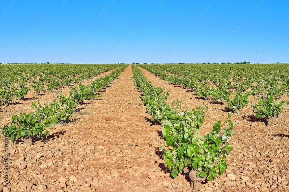 Terreno en venta en Turleque