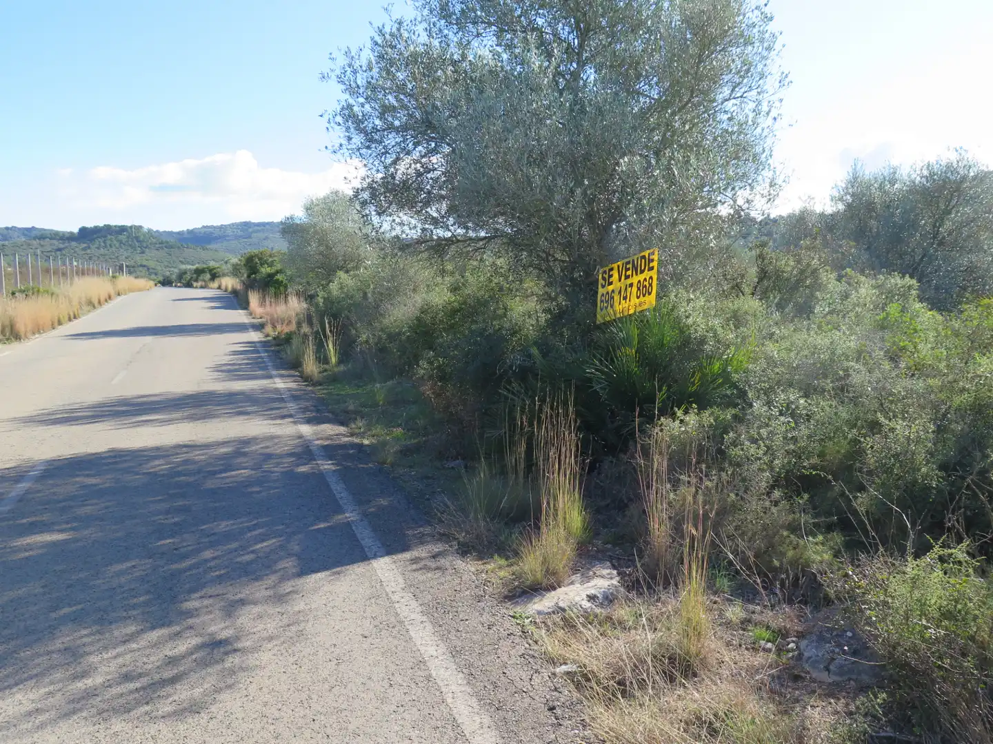 Rural land for sale in Godall, imagen 7