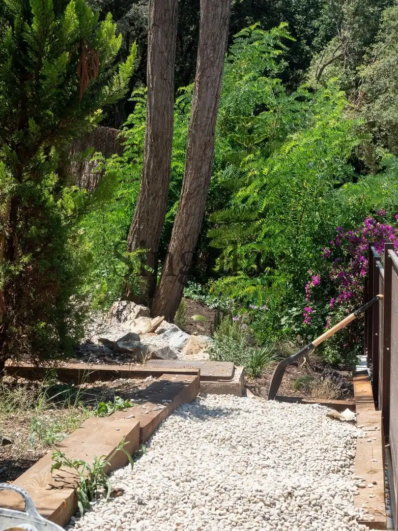 Jardí de Casa o xalet en venda en Sant Cugat del Vallès amb Aire condicionat, Calefacció i Jardí privat