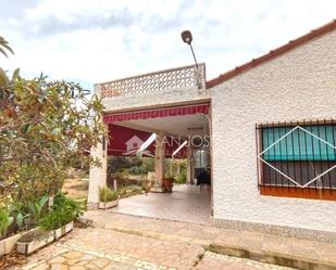 Vista exterior de Finca rústica en venda en Elche / Elx amb Aire condicionat, Terrassa i Piscina