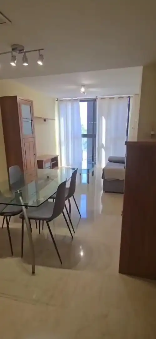 Sala d'estar de Apartament de lloguer en Alfara del Patriarca amb Jardí privat, Moblat i Forn