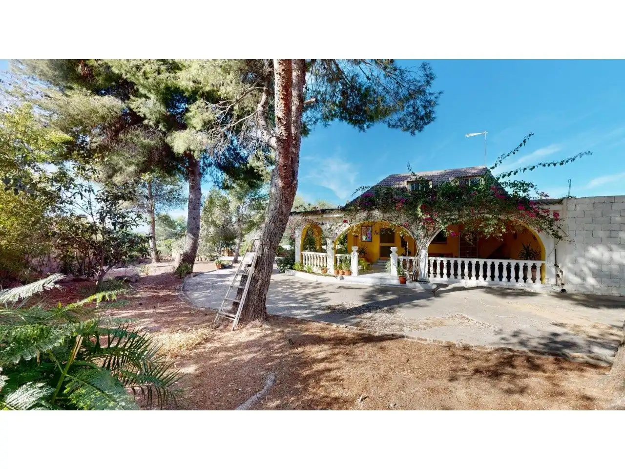 Vista exterior de Casa o chalet en venta en Llíria con Jardín privado, Terraza y Piscina
