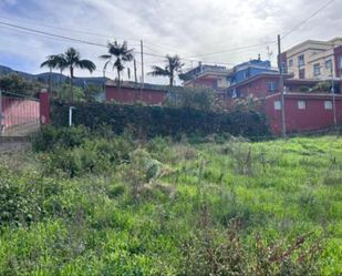 Finca rústica en venda en La Orotava