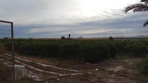 Foto 4 de Finca rústica en venda a Mar Menor Golf, Torre-Pacheco