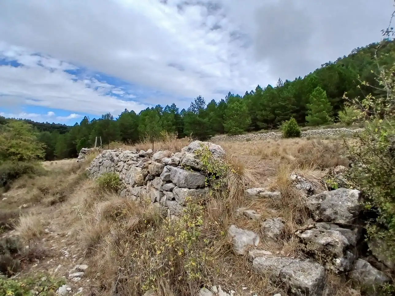 Terreny rústic en venda a La Pobla de Benifassà, imagen 13