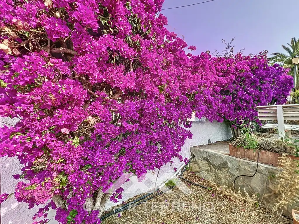 Maison avec piscine à vendre à Calle Oriental 152, imagen 26